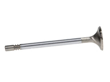 Load image into Gallery viewer, Manley Ford Coyote 5.0L DOHC Exhaust 32mm Race Master Valves w/Bead Loc Groove (Set of 8)