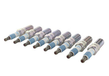 Load image into Gallery viewer, Ford Racing 11-21 Mustang GT 5.0L Cold Spark Plug Set