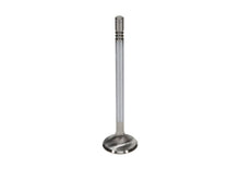 Load image into Gallery viewer, Manley Ford Coyote 5.0L DOHC Exhaust 32mm Race Master Valves w/Bead Loc Groove (Set of 8)