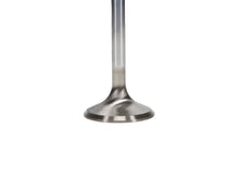 Load image into Gallery viewer, Manley Chrysler Hemi 6.1L w/ Triple Groove 1.625in Race Master Exhaust Valves (Set of 8)