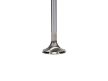 Load image into Gallery viewer, Manley Ford Coyote 5.0L DOHC Exhaust 32mm Race Master Valves w/Bead Loc Groove (Set of 8)