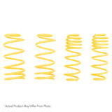 ST Muscle Car Springs Ford Mustang /Mercury Capri Up to 1989