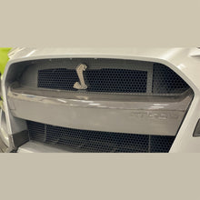 Load image into Gallery viewer, Ford Racing 20-21 Mustang GT500 Carbon Fiber Bumper Insert